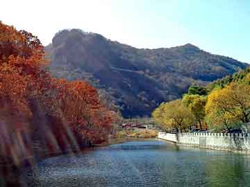 新澳天天开奖资料大全旅游团，哪种减肥药效果好